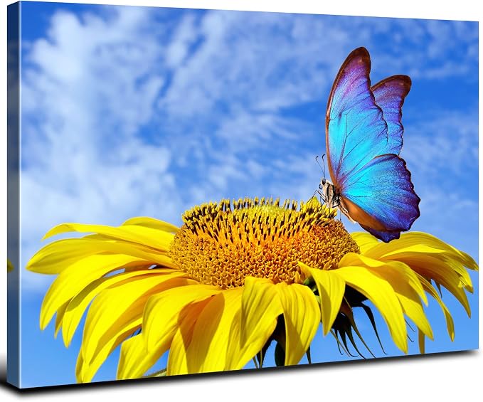 Sunflower Wall Art Bathroom Decor Blue Butterfly Canvas Pictures for Bedroom Sunflower Wall Decor Floral Posters Living Room Kitchen Home Decoration Yellow Sunshine Flower Painting Modern Artwork 20x30"