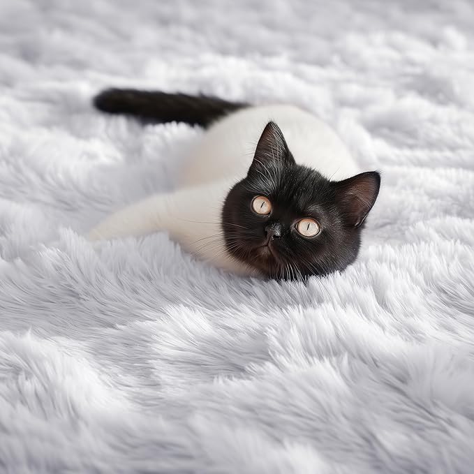 PAGISOFE Fluffy Shaggy Area Rug 5x8, Plush Rugs for Living Room, Fuzzy Rug for Nursery, Furry Rugs for Girls Boys Bedroom, Shag Carpet for Dorm Room, Soft Rug for Kids Playroom Decor,Office White