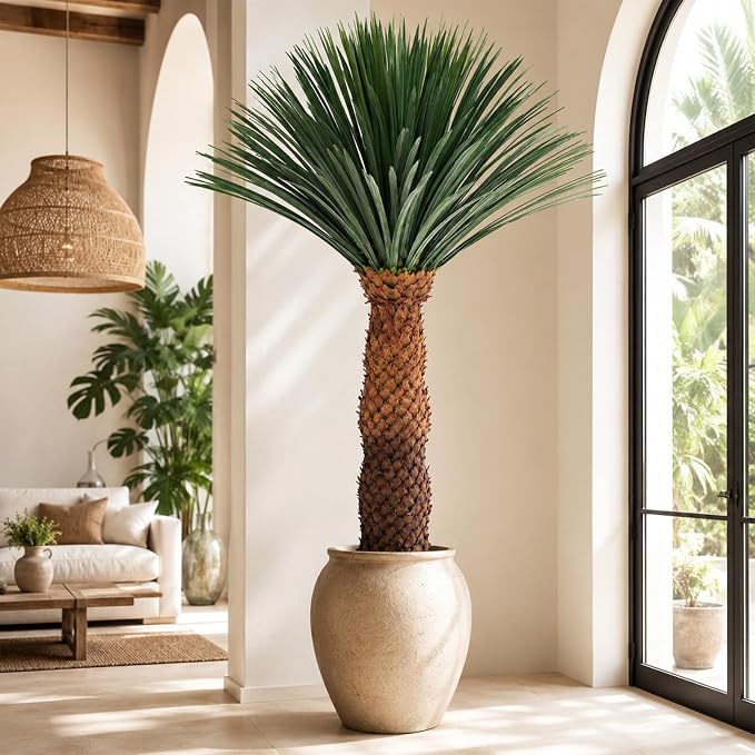 6FT Artificial Agave Plant in Black Pot Tall Faux Agave Floor Plant with Removable White Coating, Fake Yucca Look Plant for Indoor Outdoor Front Porch Patio Home Office Hotel Desert Style Decor