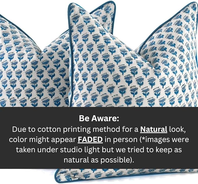 CPC 100% Cotton Throw Pillow Covers 24x24 Inch, Set of 2 Blue Block Print Pattern Couch Pillow, Cute Boho Decorative Pillows for Living Room, Bedroom with Hidden Zipper- Apatite Blue