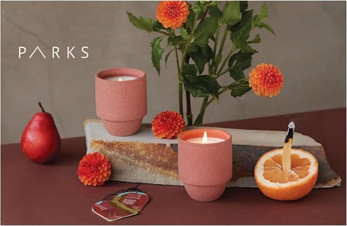 Paddywax Parks, Redwoods Scented Candle in Reusable Ceramic Jar with Crackling Wood Wick, Soy Candle with Approx. 77 Hour Burn Time, Decorative Gift Candles for Home, Redwood & Lily Scent, 11 oz