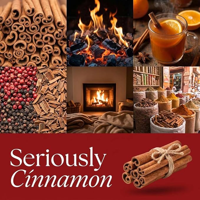 Seriously Cinnamon Strongly Scented Hand Poured Vegan Wax Melts, 12 Scented Wax Cubes, 6.4 Ounces in 2 x 6-Packs