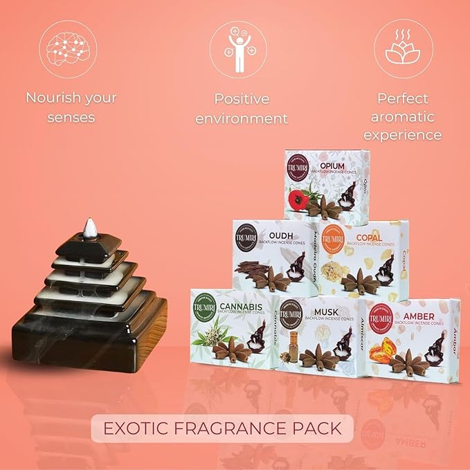 Exotic - Backflow Incense Cones for Waterfall - Scented Inscents-Cones - Copal, Amber, Musk, Oud - Insiensos Aromaticos - 6x10=60 Large Variety Pack