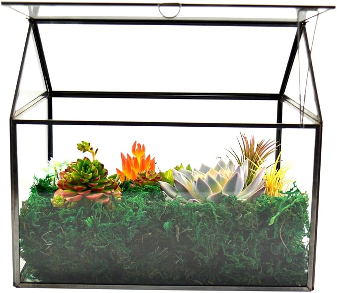Large Glass Plant Terrarium – House Succulent Glass Terrarium Kit with Lip Glass Greenhouse Terrarium for Plant 12.26X9.15X10.9inch (Black 2)
