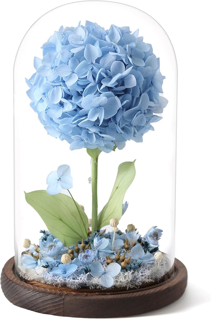 Forever Hydrangeas in Glass Dome,Forever Preserved Flowers Gifts Mothers Day Birthday for Grandma Women Mom Wife,Fresh Flowers for Delivery/Blue Hydrangea