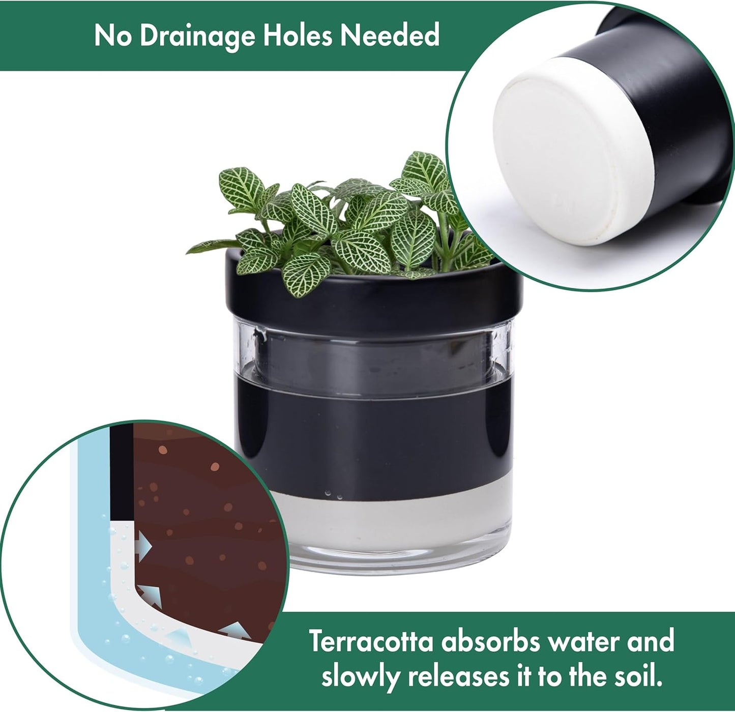 Phoenix Vine 4 Inch Self Watering Planter Pot, Black Terracotta Clay Pot with Glass Reservoir for Indoor Plants, Herbs, Flowers, Set of 3, 52-C-E-3