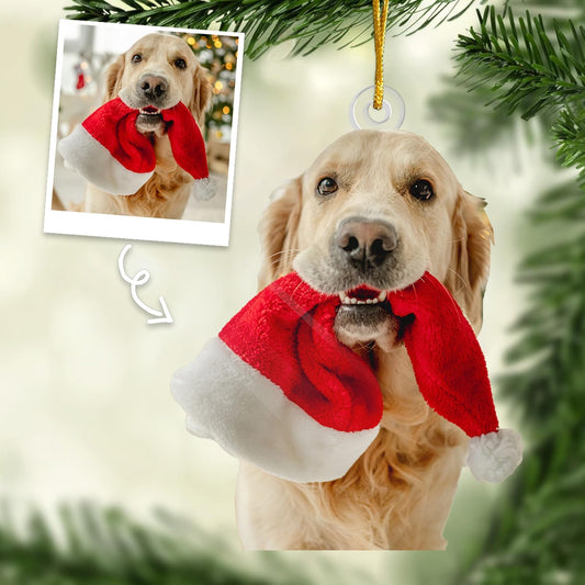 DOPTIKA Personalized Dog & Cat Photo Ornaments, Custom Photo Ornament Gifts for Pet Lovers, 2D Acrylic Christmas Ornaments for Christmas Tree 2025, Cute Pet Ornament