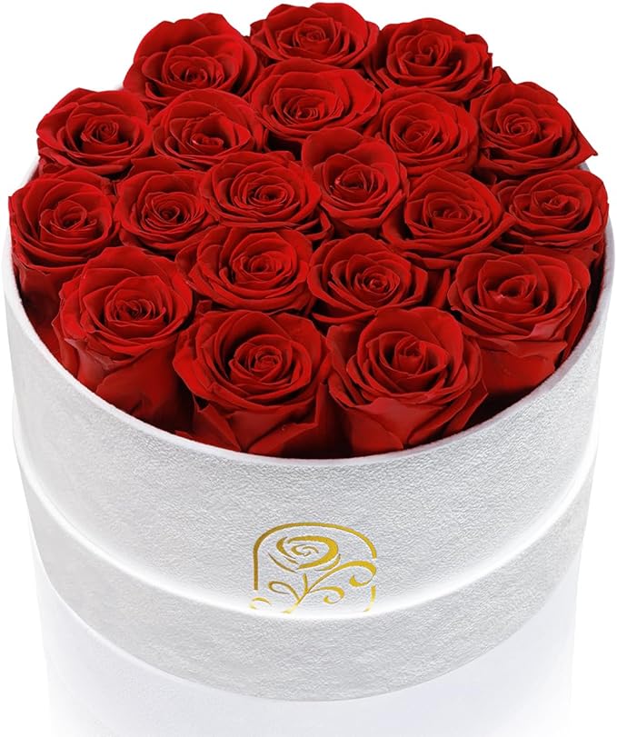 Gifts for Women Preserved Roses Flower Box, Luxury Velvet Box with 20 Roses, Preserved Flowers, Romantic Gift for Her, Wife, Girlfriend, Birthday Anniversary Christmas (Red)