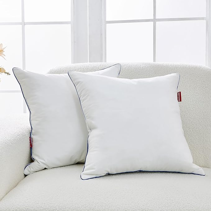Down Pillow Inserts 20x20, Set of 2, 100% Goose Down Feather Throw Pillows Inserts, Triple-Layer Downproof, Decorative Pillow Insert with Soft Cotton Cover for Couch,Sofa,Bed,Living Room