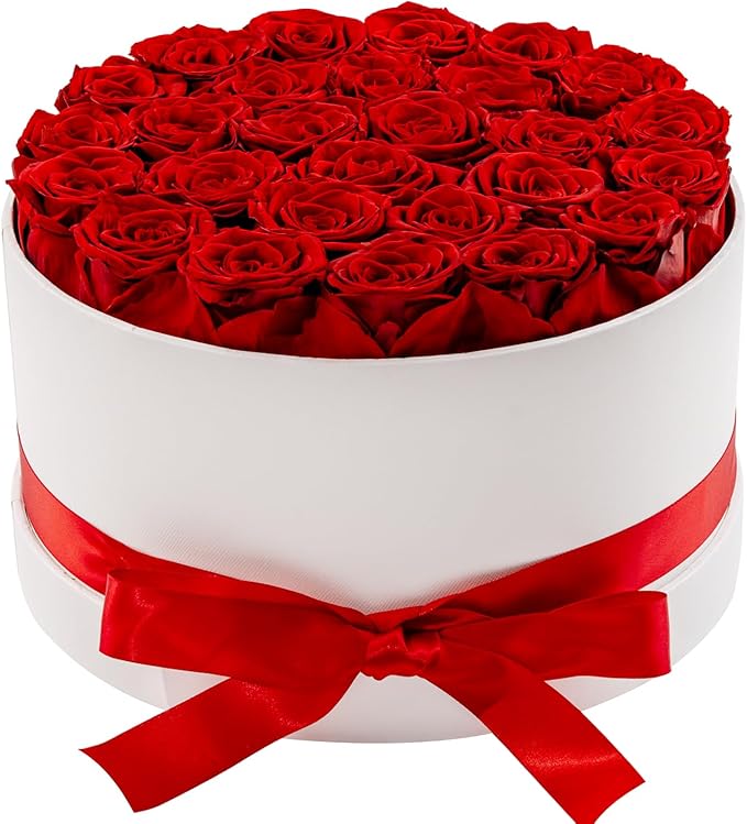 27 Piece Preserved Roses in a Box - Forever Flowers for Delivery Prime, Eternal Roses Mothers Gifts for Mom, Valentine's Day, Wife Anniversary Birthday Gifts for Women(Red)