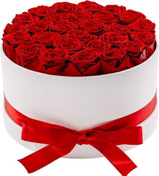 27 Piece Preserved Roses in a Box - Forever Flowers for Delivery Prime, Eternal Roses Mothers Gifts for Mom, Valentine's Day, Wife Anniversary Birthday Gifts for Women(Red)