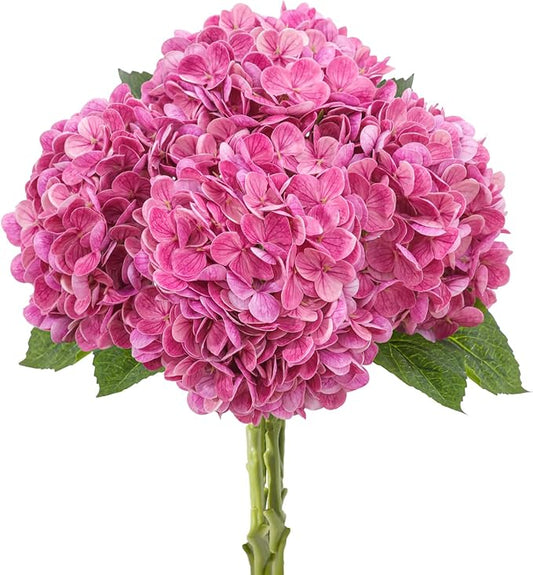 4 Pcs Artificial Hydrangea Silk Flowers with Stems, 19.7" Rose Pink Faux Hydrangeas Bouquet, 240 Petals, UV Resistant & Waterproof Fake Flower for Outdoor Wedding Home Decor
