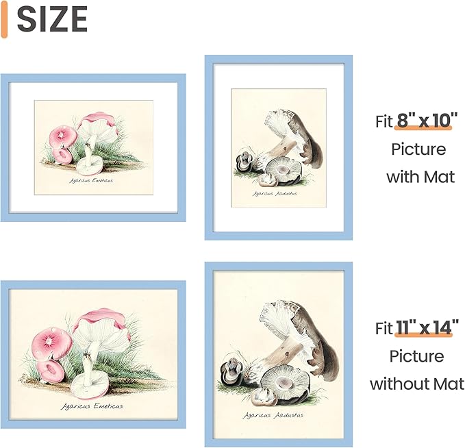 upsimples 11x14 Picture Frame, Display Pictures 8x10 with Mat or 11 x 14 Without, Wall Hanging Photo Frames, Blue, 1 Pack