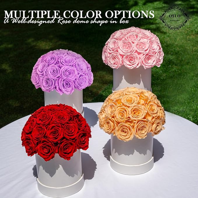 27 Preserved Roses in Round Dome Shape, Mother's Day Real Forever Flowers Rose Box, Eternal Rose Gift for Her Women Girl Friend Wife, Flower Gift for Valentines Day(Pink)