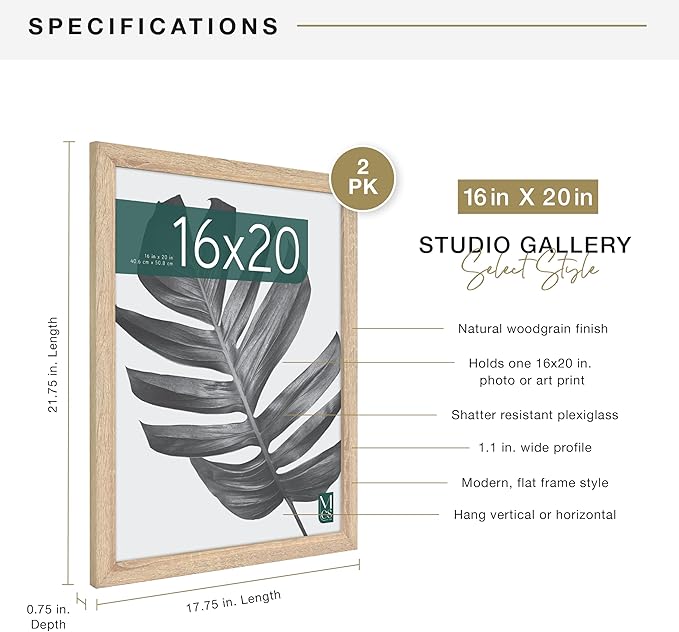 MCS Studio Gallery 16x20 Poster Frame Natural Woodgrain Engineered Wood, Vertical & Horizontal Wall Hanging Large Picture Frame for Photos, Posters & Art Prints (2-Pack)