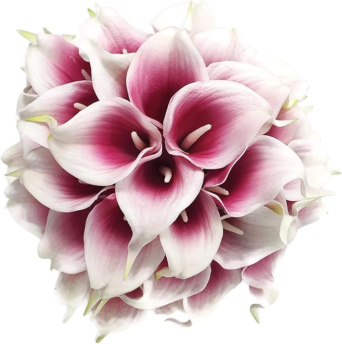 Floral Kingdom Artificial Calla Lily Flowers, 20 Pack, 14 Inch, Mauve White, Real Touch Latex - Wedding Centerpieces, DIY Floral Arrangements, Home Decor