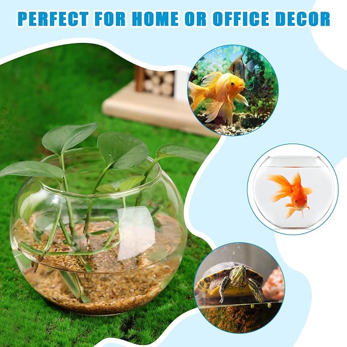 36 Pcs Glass Bubble Bowl Vase Bulk, Clear Round Glass Centerpiece Bowls for Valentine's Wedding Table Decor, Fish Flower Bud Vase Terrarium for Event Party DIY (3.5" h X 4.7" w)