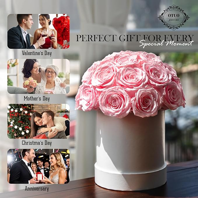 27 Preserved Roses in Round Dome Shape, Mother's Day Real Forever Flowers Rose Box, Eternal Rose Gift for Her Women Girl Friend Wife, Flower Gift for Valentines Day(Pink)