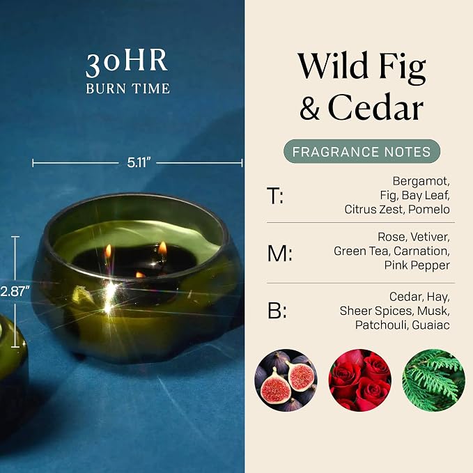 Paddywax Basalt Collection Scented Candle, Soy Wax Blend Glass Jar with Lid, Reusable Home Décor Candle, 10 oz, Green Vessel, Wild Fig and Cedar