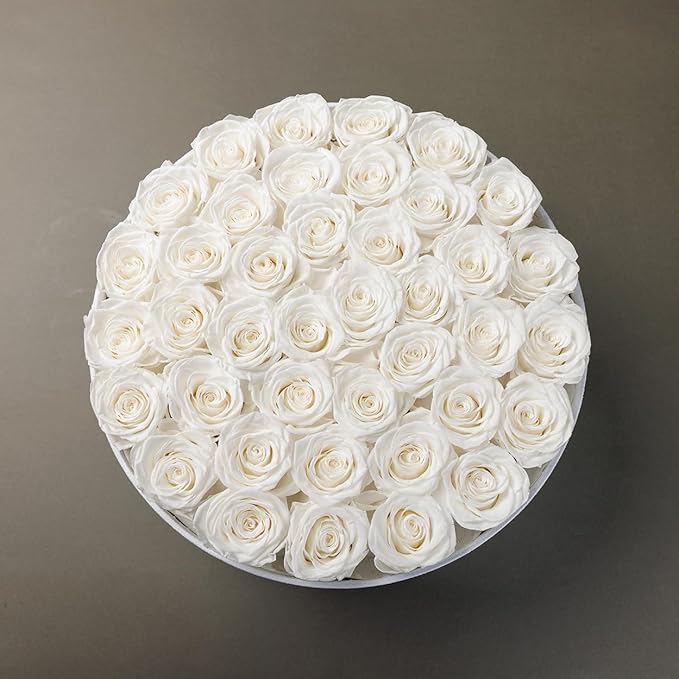 Gifts for Women Preserved Roses Flower Box, Luxury Velvet Box with 40 Roses, Preserved Flowers, Romantic Gift for Her, Wife, Girlfriend, Birthday Anniversary Christmas (White)