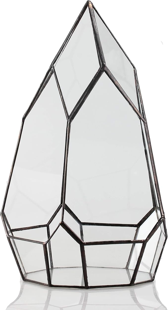 NCYP No Door Glass Geometric Terrarium Planter for Succulent Plants, Fern, Balcony Display Pot - Black Miniature Botanical Garden, Large (Terrarium Only) 12.2" Height, 7.1" Width