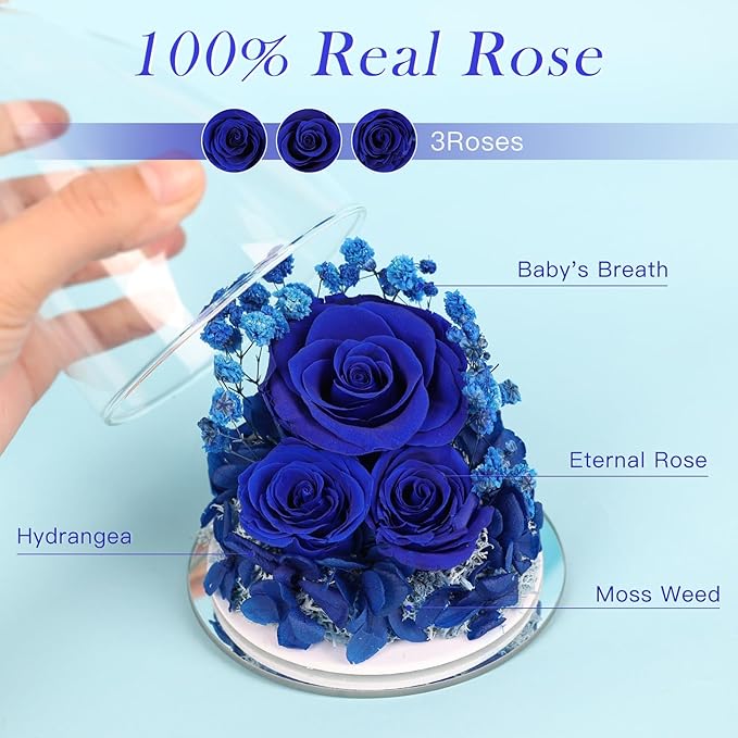 Flowers for Delivery Birthday Gifts for Women Gifts for Mom Grandma Mothers Day Fresh Preserved Flowers Forever Real Roses in Glass Angel Figurines Anniversary Present for Wife Her Friends Daughter