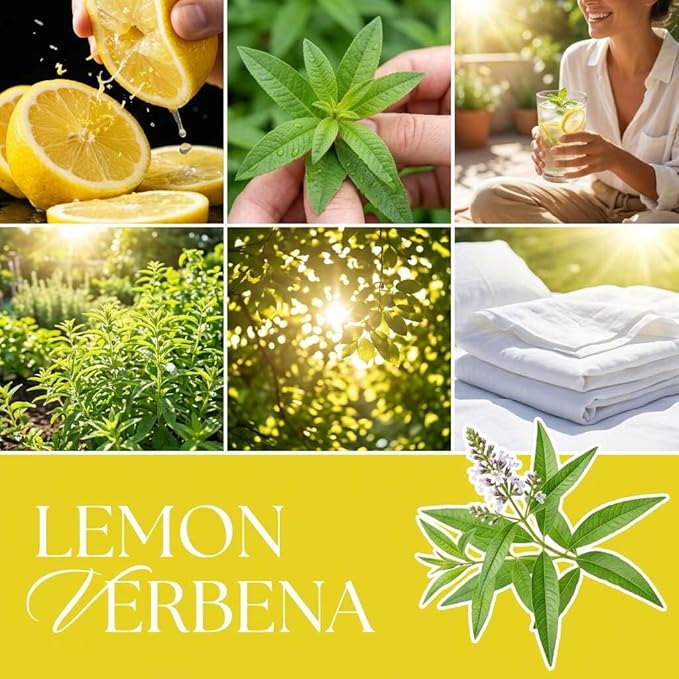 Lemon Verbena Strongly Scented Hand Poured Vegan Wax Melts, 12 Scented Wax Cubes, 6.4 Ounces in 2 x 6-Packs (Lemon Verbena)