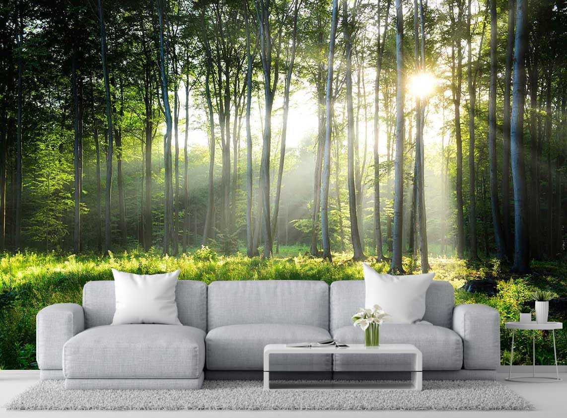 Sunshine in The Woods Mural, Large Jungle Mural, Suitable for Decorating Bedroom, Living Room, Bath Room Background Wall(Non-self-Adhesive)