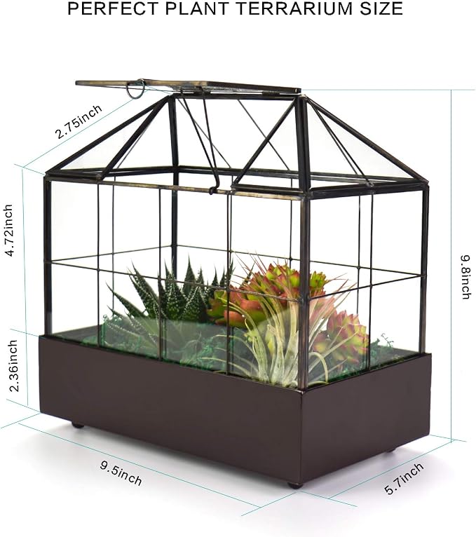 YIMORENCE V Large Tall Plant Terrarium Glass Greenhouse with Lid and Tray, Indoor Tabletop Orchid Succulent Cacti Kit 9.5'X9.8'X5.6'