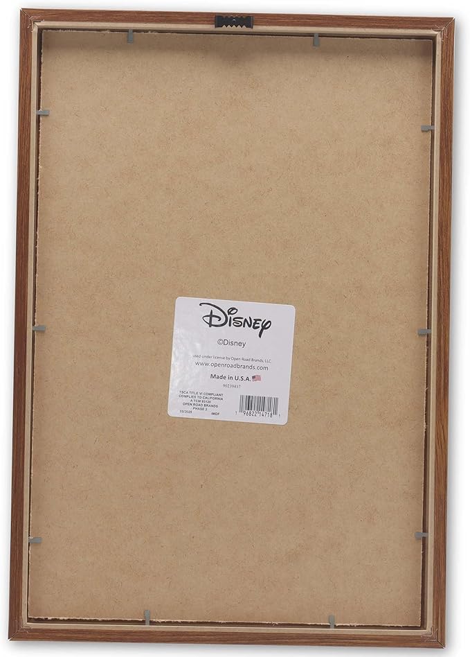 Disney The Lion King Remember Who You Are Framed Wood Wall Decor - Inspirational Pride Rock Wall Art for Home