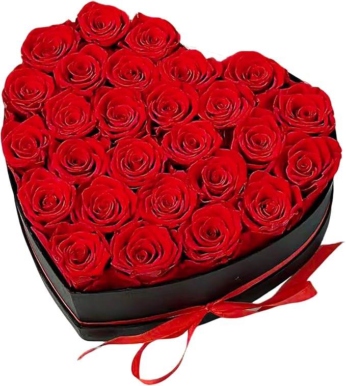 Preserved Roses Heart Shape Box Valentines Day Gifts for Her Mothers Day Forever Flowers (Red, 27 Roses)