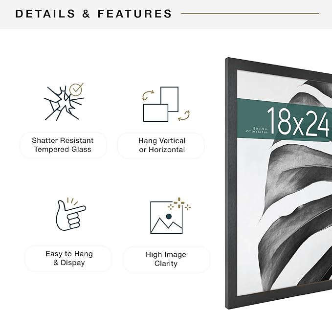 MCS Studio Gallery 18x24 Poster Frame Black Woodgrain Engineered Wood, Vertical & Horizontal Wall Hanging Large Picture Frame for Photos, Posters & Art Prints (1-Pack)