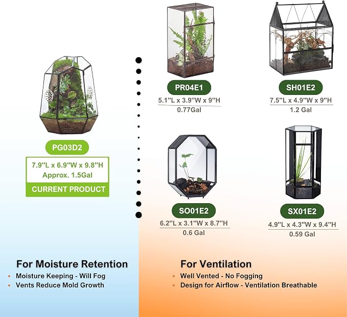 NCYP Closed Geometric Glass Enclosure with Front Opening Door & 2 Vent Holes for Insects, Snail, Moss, Fern - 7.9"x6.9"x9.8" Black Irregular Terrarium - Home Garden Tabletop Decor (No Plants)