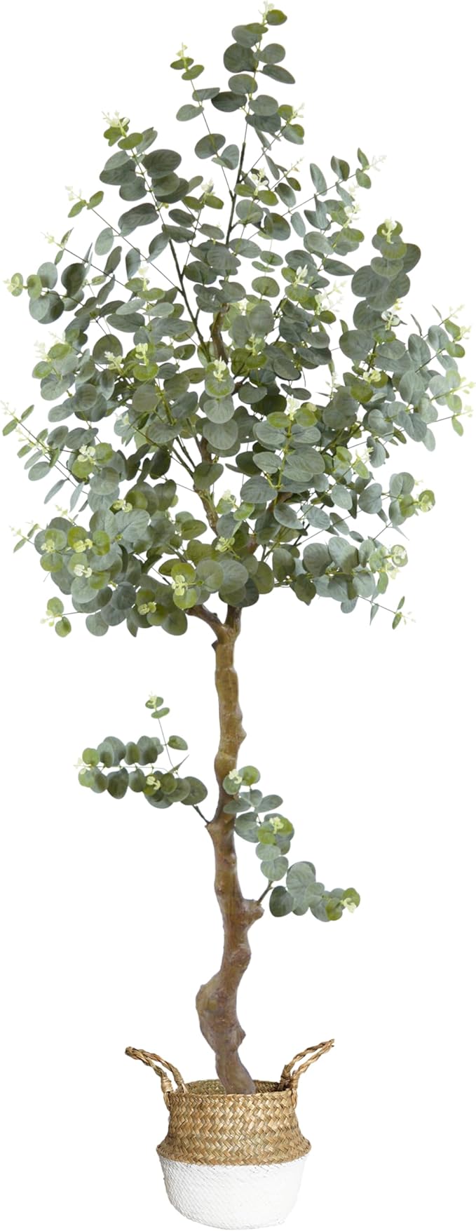 Artificial Eucalyptus Tree 6ft, Faux Plant with Basket, Fake Eucalyptus Trees with White Silver Dollar Leaves, Faux Potted Plants for Home Office Decor Indoor Outdoor
