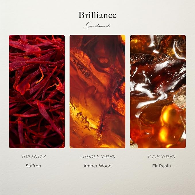 Scentiment Diffuser Oil Sample Set – 3 Pack (Royalty, Brilliance, Santal) | Pineapple, Saffron & Cardamom Blends | Luxury Hotel-Inspired Fragrance Oils for Cold Air Diffusers (3 x 20 mL)