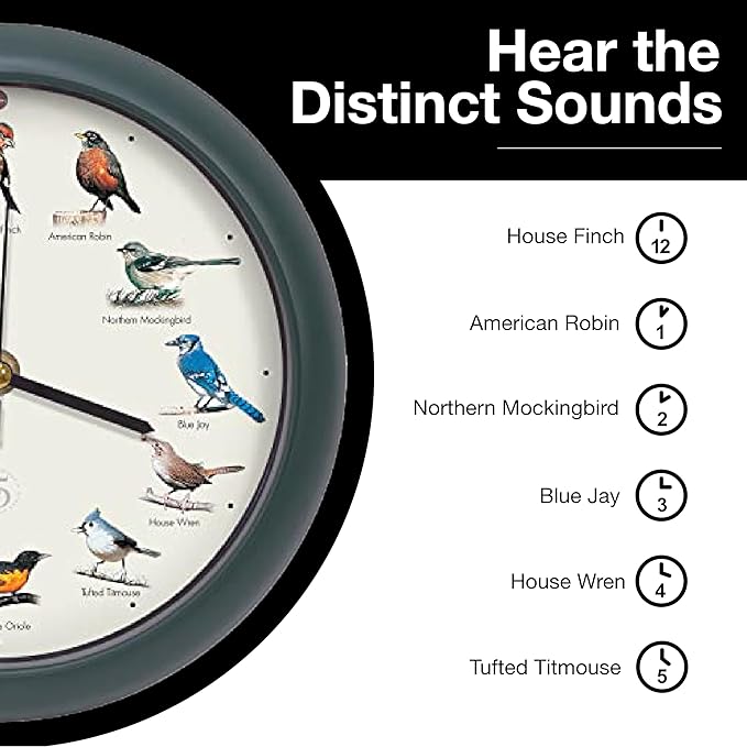 Mark Feldstein, The Original Singing Bird Clock, 25th Anniversary Edition, 8 Inch, Green