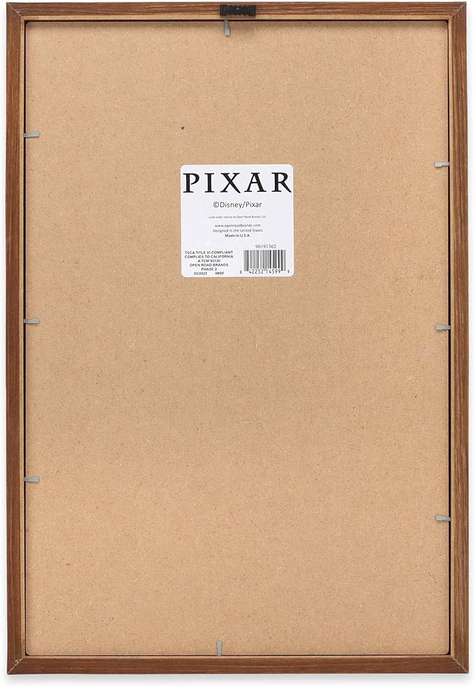 Disney Pixar Up Adventure is Out There Framed Wood Wall Decor - Cute Up Movie Wall Art With Inspiring Quote