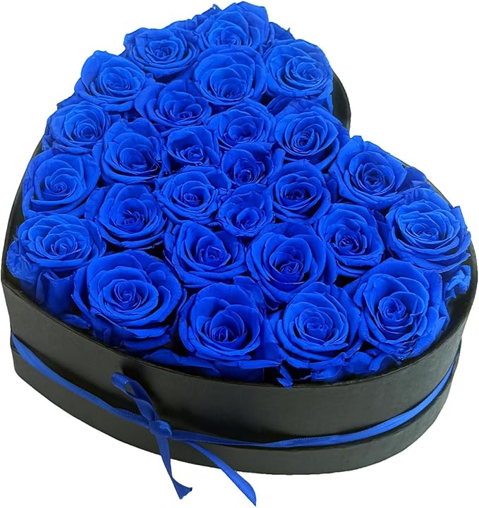Preserved Roses Heart Shape Box Valentines Day Gifts for Her Mothers Day Forever Flowers (Blue, 27 Roses)