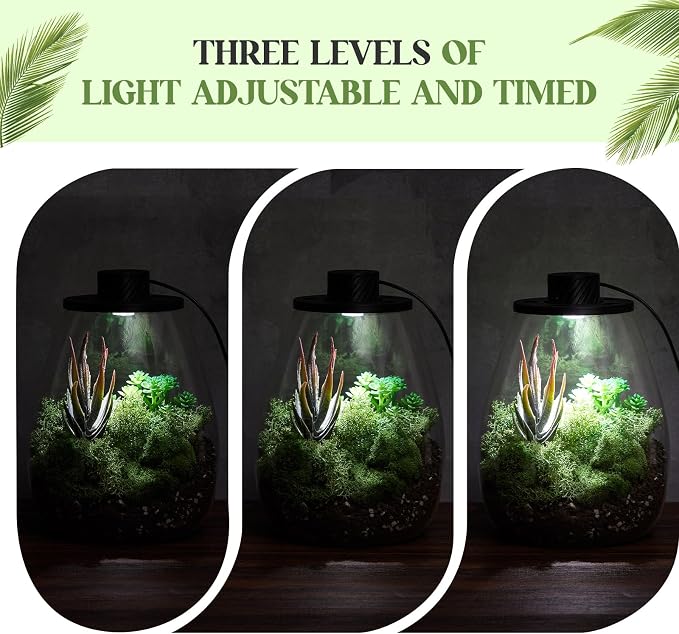 Maxdot Glass Plant Terrarium Kit with LED Grow Light, Desk Terrarium for Venus Fly Trap, Succulents, Moss & Miniature Garden, Borosilicate Glass Desktop Planter for Home Office(6.9 x 7.8 Inch)