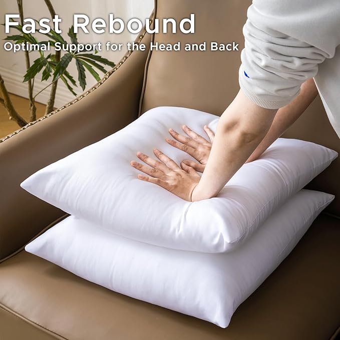 22 x 22 Pillow Insert Set of 4 - Premium Soft and Fluffy 22 Inch Large Sofa Decorative White Square Throw Pillow Inserts Stuffing for Living Room Couch and Bedroom Interior Cushions