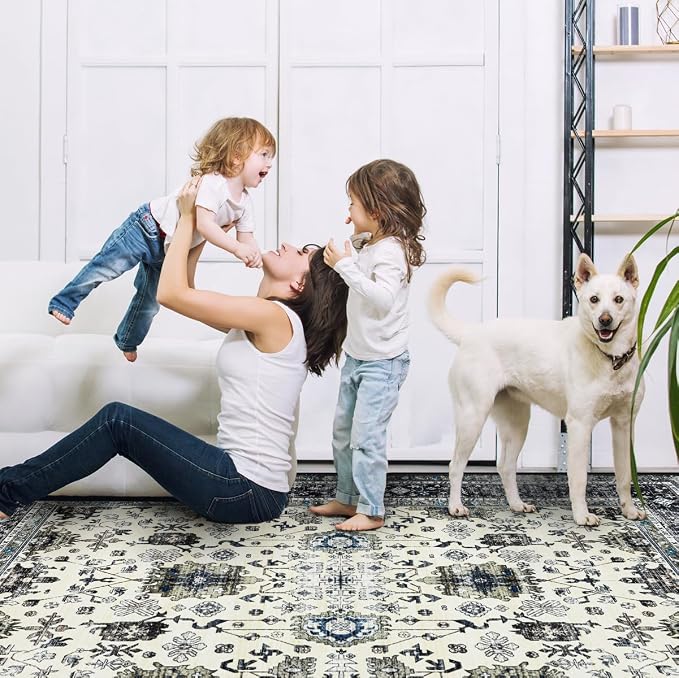 Ruaruarug Washable Area Rug 8x10 for Living Room, Bedroom, Ultra Soft Non Slip Stain & Fade Resistant, Pet & Kids Friendly, Suitable for High Traffic Areas Easy to Clean for Office Kitchen, White Gray