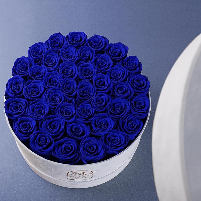 Gifts for Women Preserved Roses Flower Box, Luxury Velvet Box with 40 Roses, Preserved Flowers, Romantic Gift for Her, Wife, Girlfriend, Birthday Anniversary Christmas (Royal Blue)