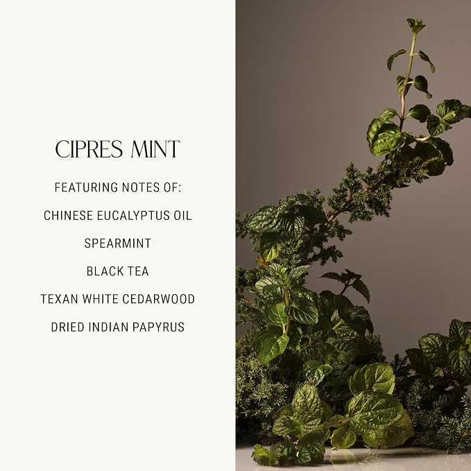 Homecourt by Courteney Cox Luxury Scented Candle, Cipres Mint, 8 oz | Gently Cleanses & Hydrates, Removes Dirt & Debris Without Irritating Skin, Clean Formula