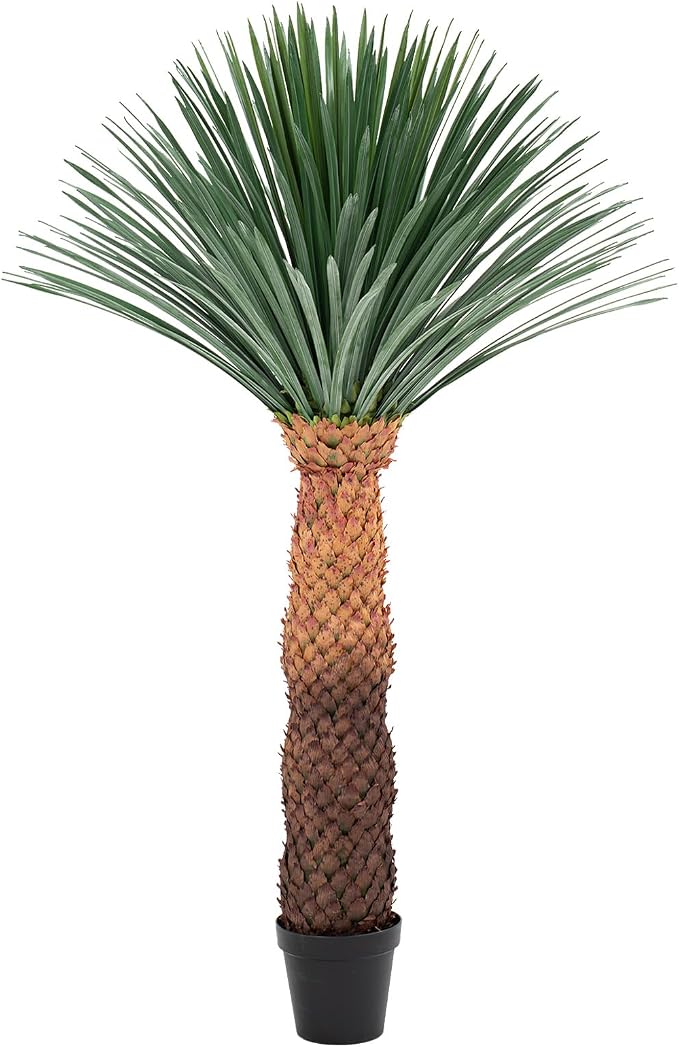 6FT Artificial Agave Plant in Black Pot Tall Faux Agave Floor Plant with Removable White Coating, Fake Yucca Look Plant for Indoor Outdoor Front Porch Patio Home Office Hotel Desert Style Decor