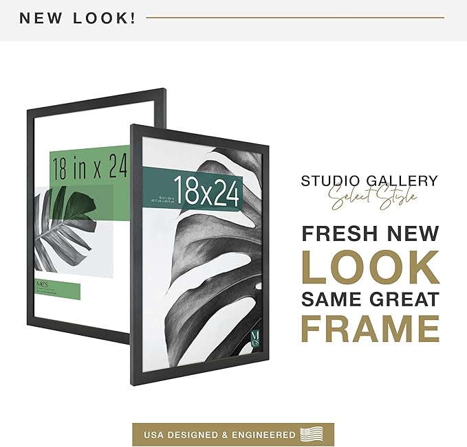 MCS Studio Gallery 18x24 Poster Frame Black Woodgrain Engineered Wood, Vertical & Horizontal Wall Hanging Large Picture Frame for Photos, Posters & Art Prints (1-Pack)