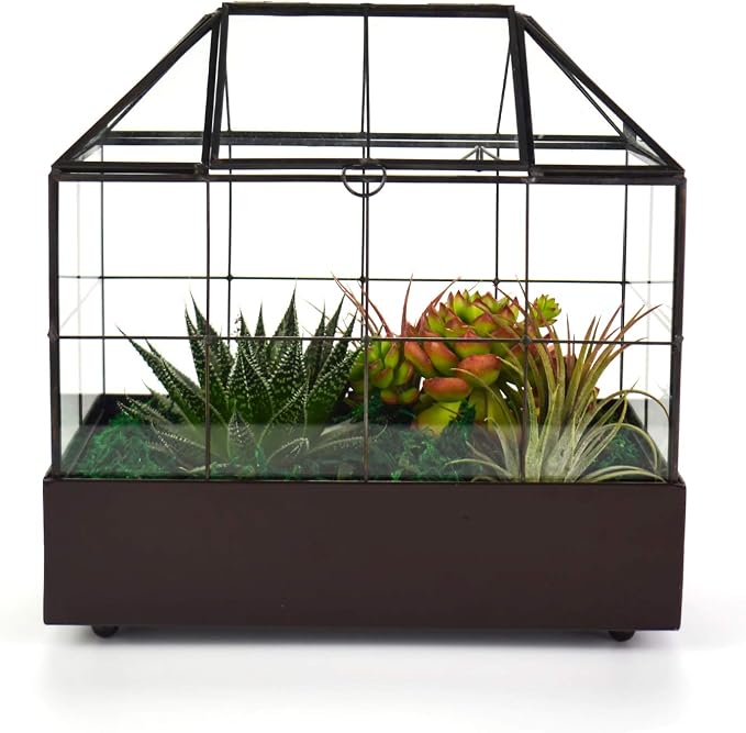 YIMORENCE V Large Tall Plant Terrarium Glass Greenhouse with Lid and Tray, Indoor Tabletop Orchid Succulent Cacti Kit 9.5'X9.8'X5.6'