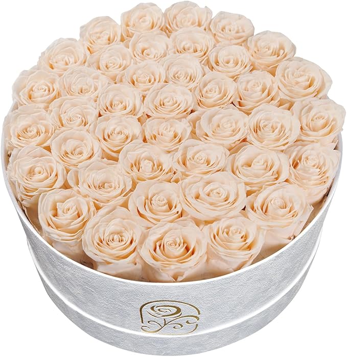 Gifts for Women Preserved Roses Flower Box, Luxury Velvet Box with 40 Roses, Preserved Flowers, Romantic Gift for Her, Wife, Girlfriend, Birthday Anniversary Christmas (Buttermilk)