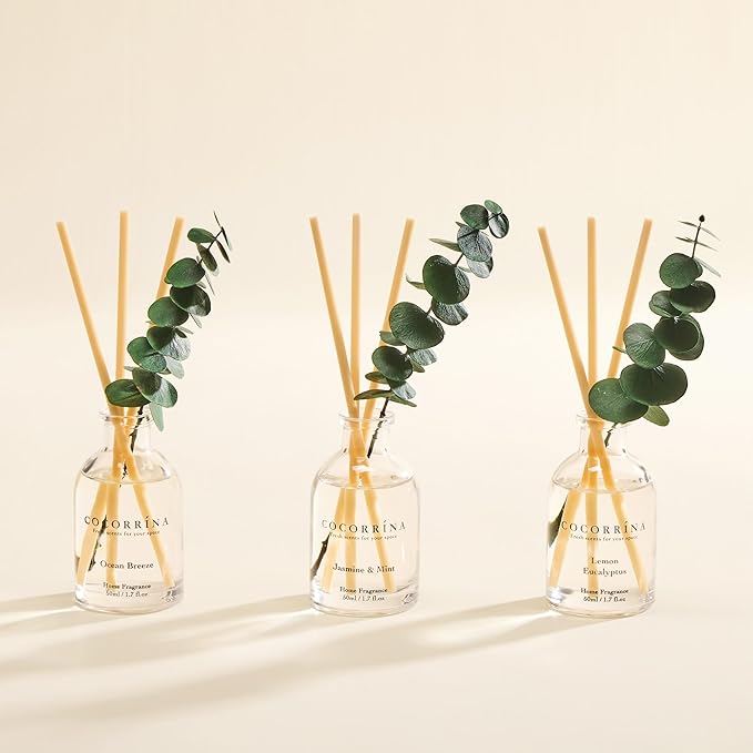 COCORRÍNA Eucalyptus Reed Diffuser Set of 3 - Lemon Eucalyptus, Jasmine & Mint, Ocean Breeze Scents, 1.7 fl oz Each, Total 5.1 oz, Scented Oil Diffusers for Home & Office