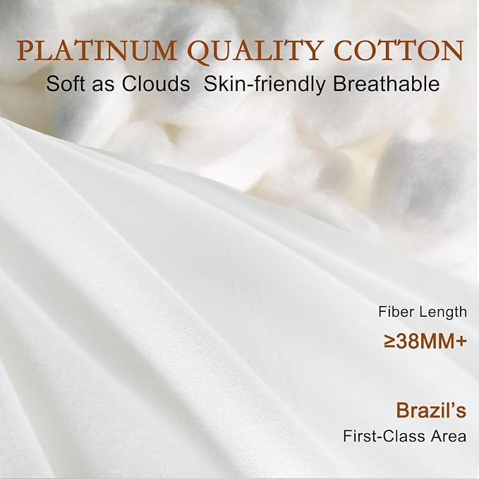 YOUR MOON Natural Wool Pillow King Size, Flat & Thin Wool Pillow for Sleeping, Low-Loft Bed Pillows for Back and Stomach Sleepers, Breathable Cotton Cover (White)