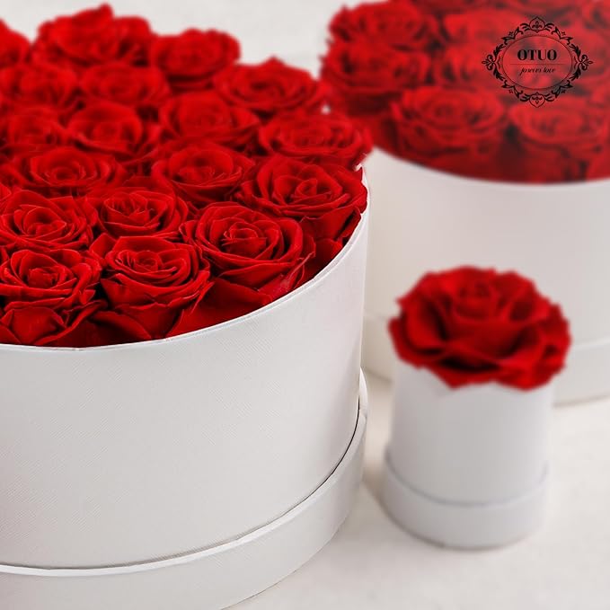 27 Piece Preserved Roses in a Box - Forever Flowers for Delivery Prime, Eternal Roses Mothers Gifts for Mom, Valentine's Day, Wife Anniversary Birthday Gifts for Women(Red)